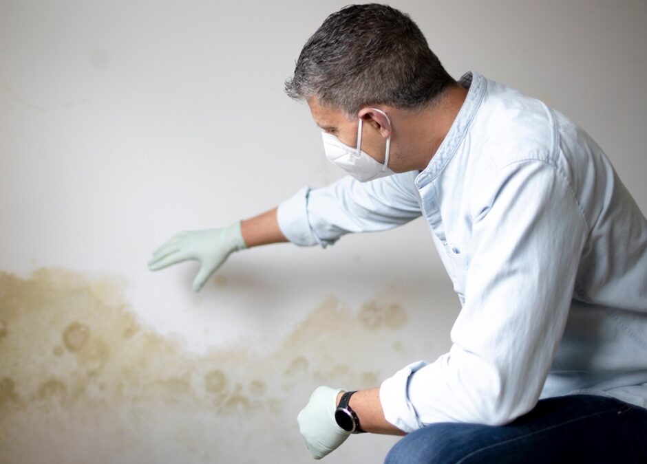 Unmasking Common Mould Assessment Misconceptions