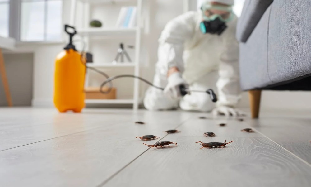 Six Reasons Why Elmhurst, IL Homeowners Should Never Ignore a Pest Sighting