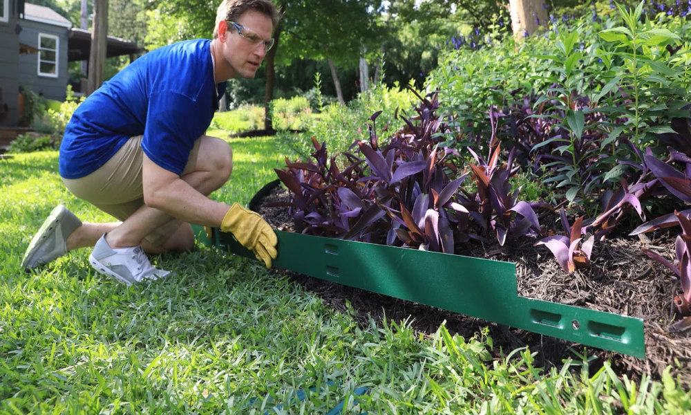 Where to Spend Your First Landscaping Dollar and How to Phase the Rest
